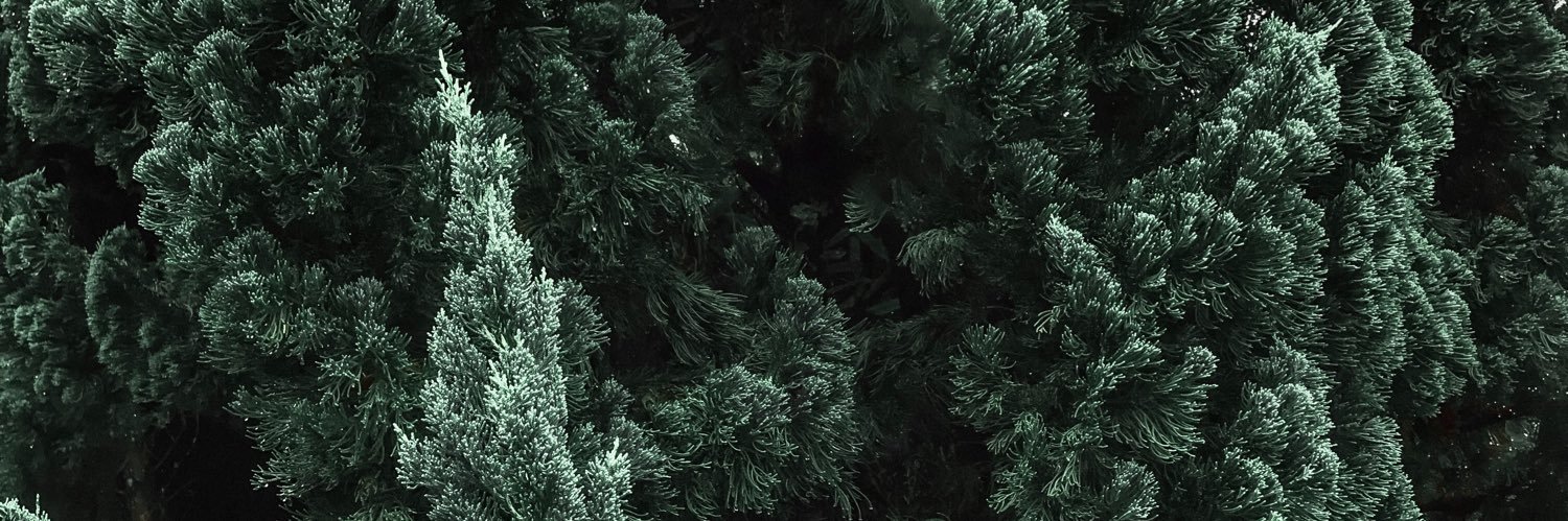skylarlysaker banner