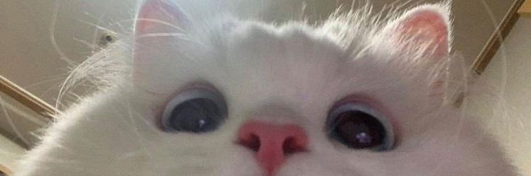 StandStillDie's profile banner image