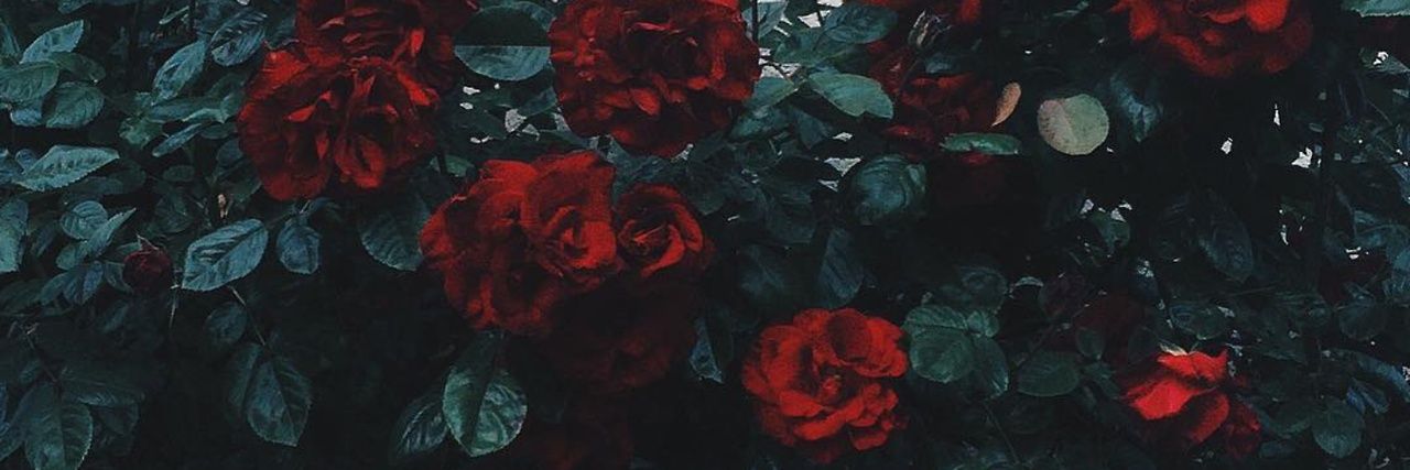 lorenaocts's profile banner image