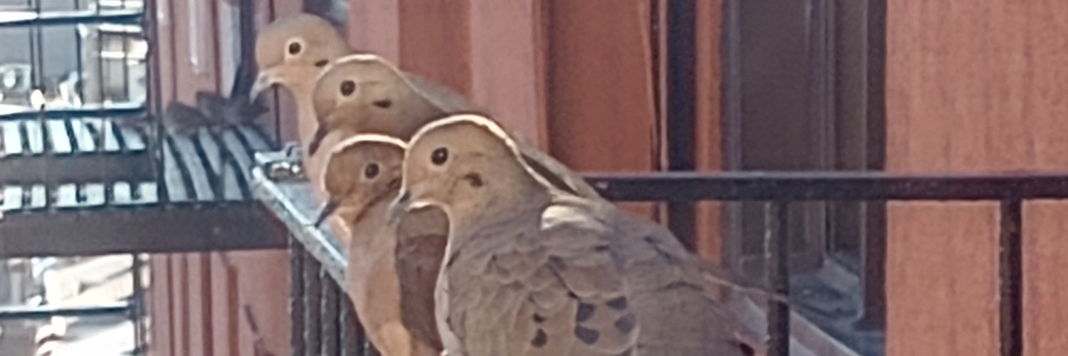 Gena Hymowech banner