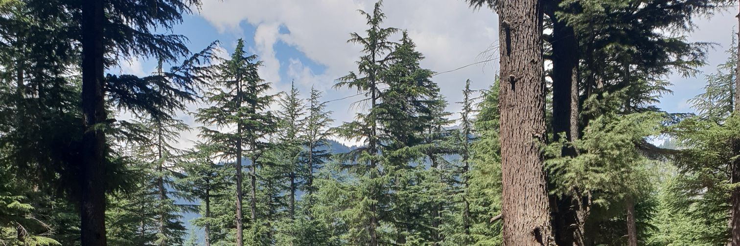 high0900's profile banner image