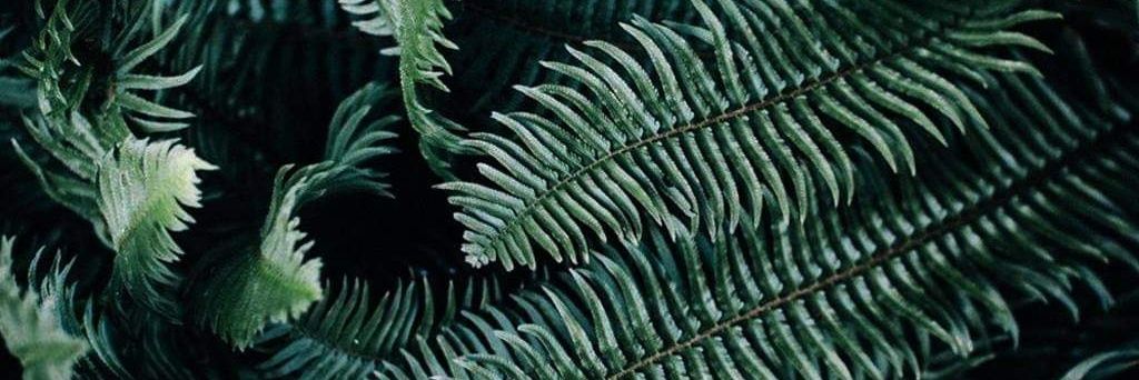 Udgin's profile banner image