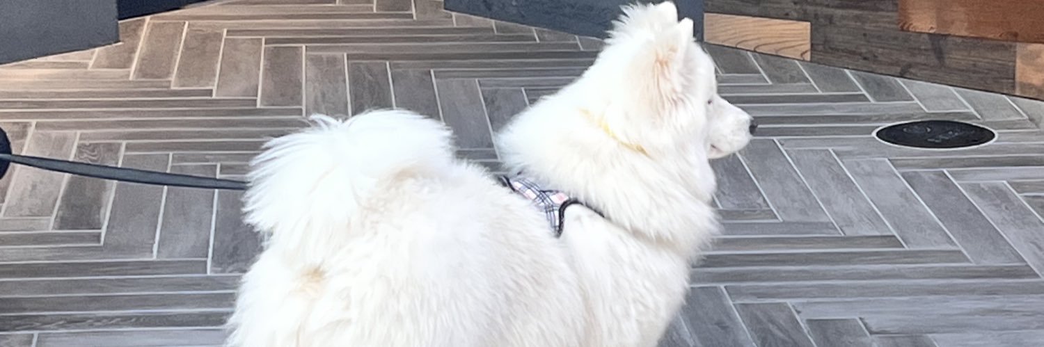 v3rym1nd's profile banner image