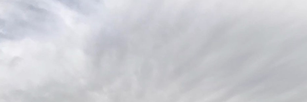 ⚡️ Fenomenoide ✨ banner