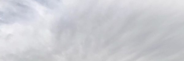 snivella Profile Banner