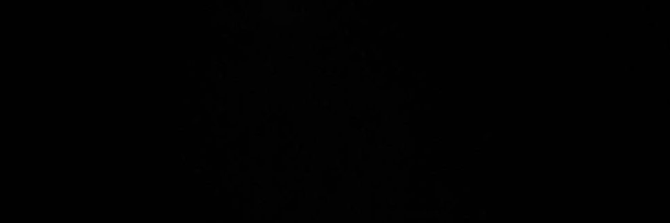 juliamcam's profile banner image