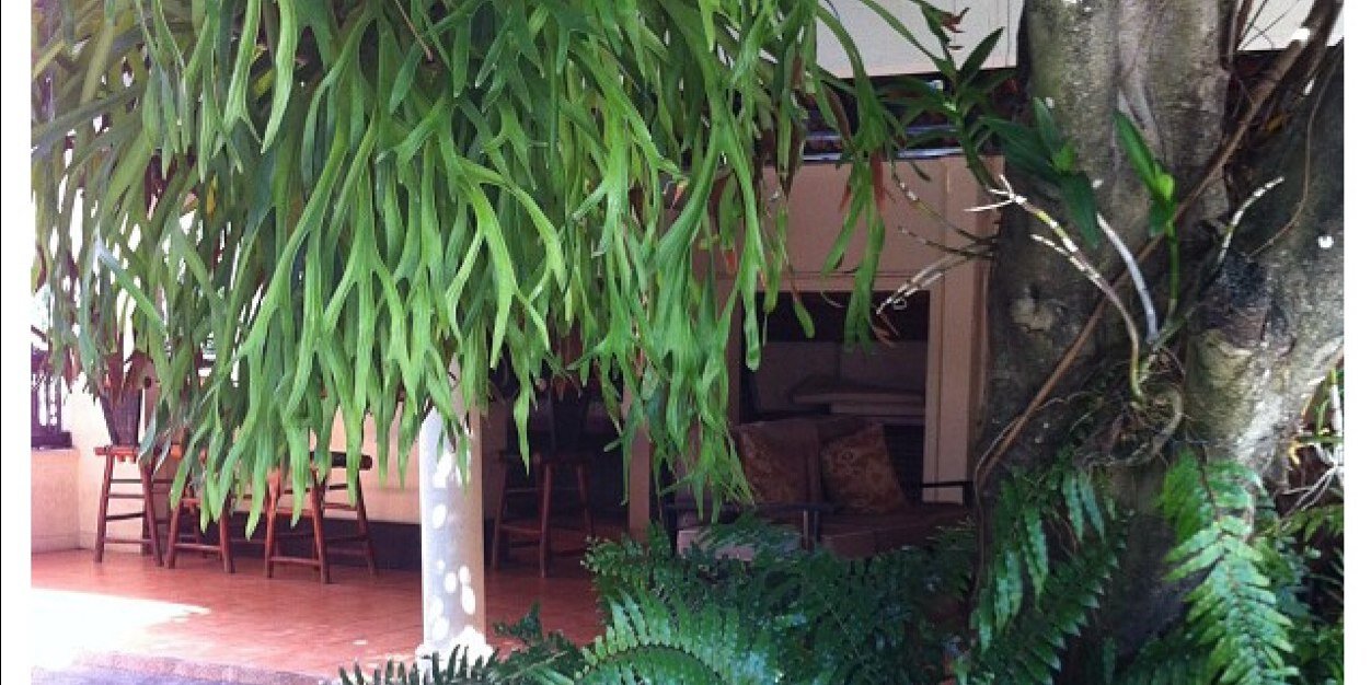 Ana Maria Troncoso banner