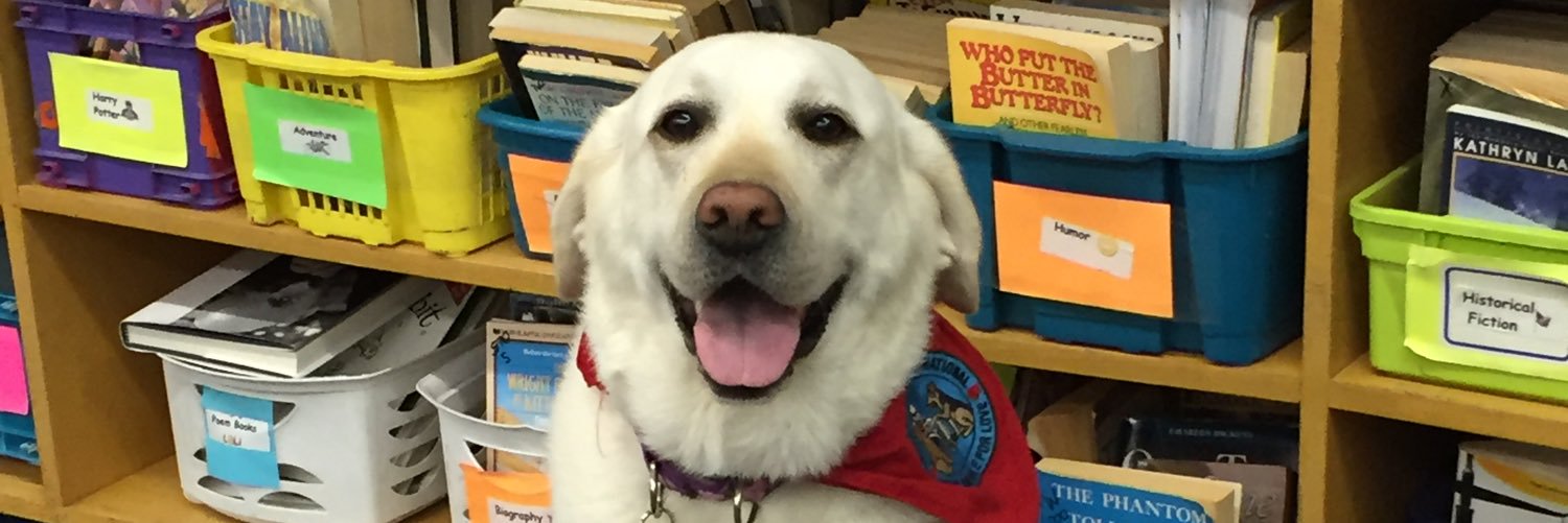 MrsGresser's profile banner image