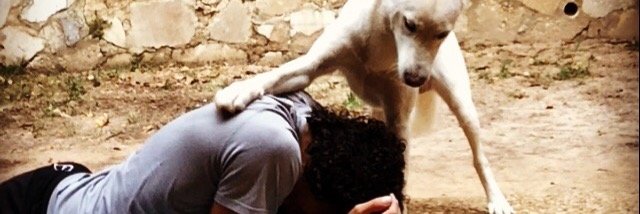 JBallin7's profile banner image