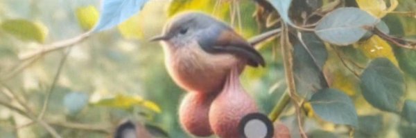 bubiier Profile Banner
