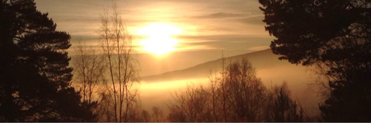abergmadeleine's profile banner image
