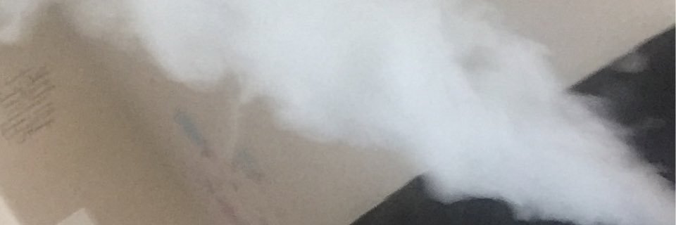 Reese_cup26's profile banner image