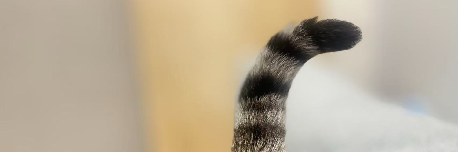 OpenOcean Intern banner