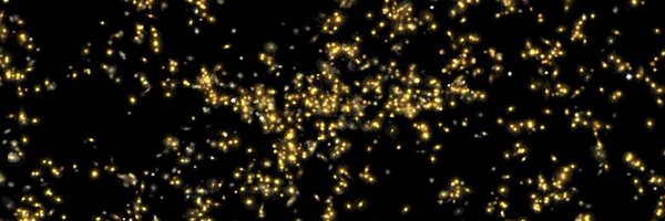 friedberg Profile Banner