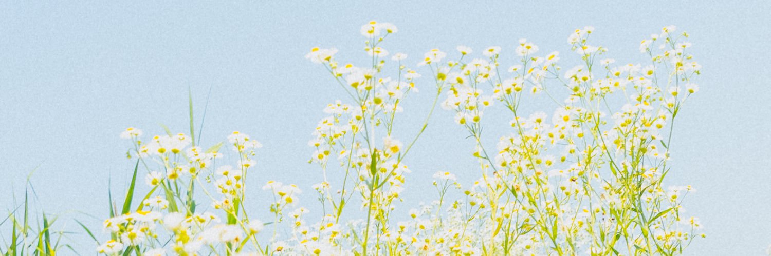 ろこ banner