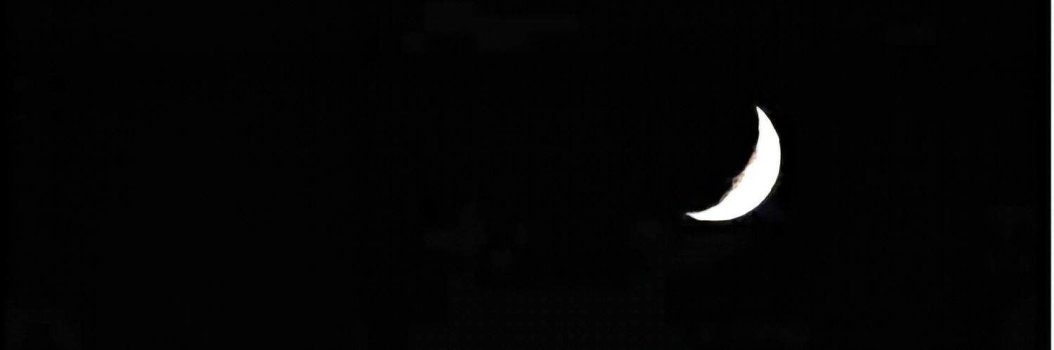 g13597145's profile banner image