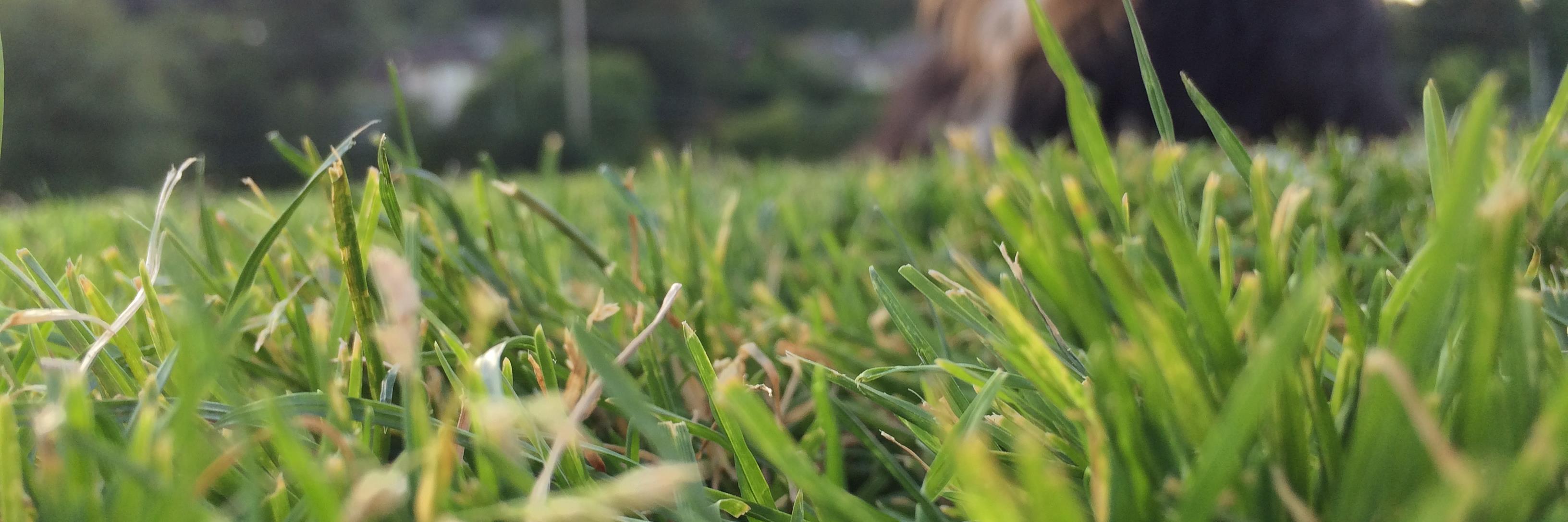 KristenS_18's profile banner image