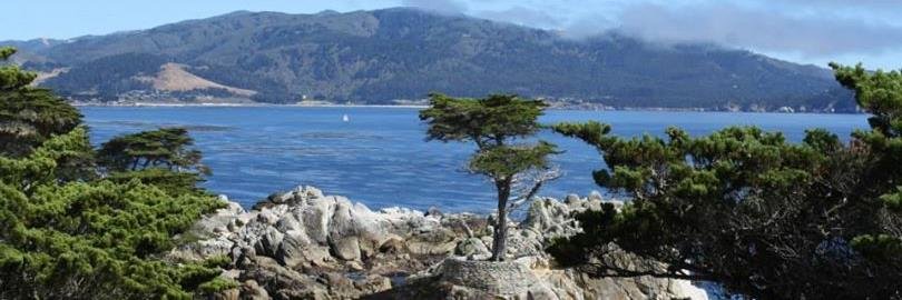 John L Codella Jr banner