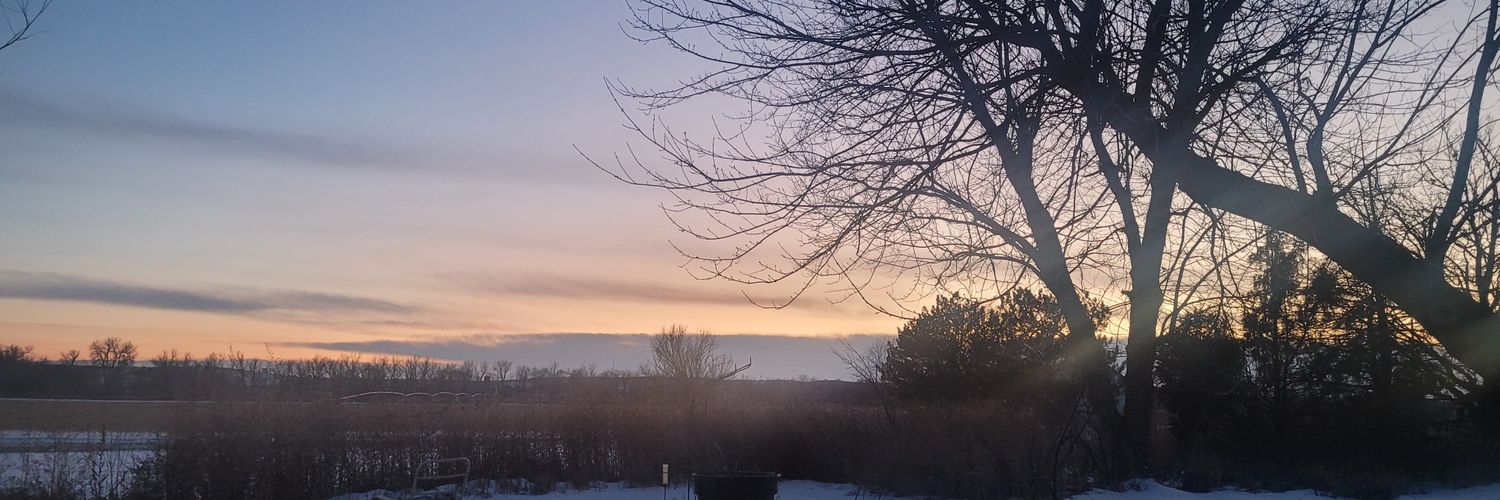 Martha Johnson banner