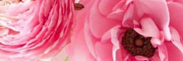 EBialoski's profile banner image