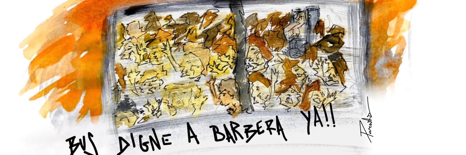 BUSBDVBCN banner