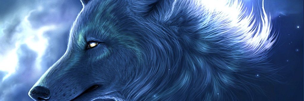 saarnett's profile banner image