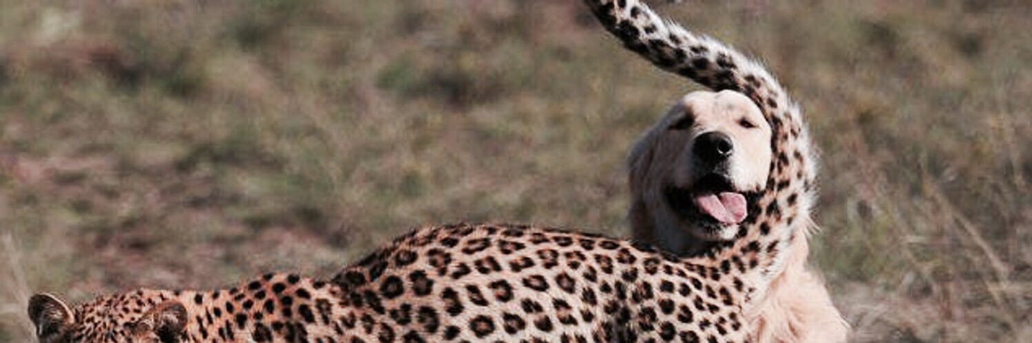 empemb's profile banner image