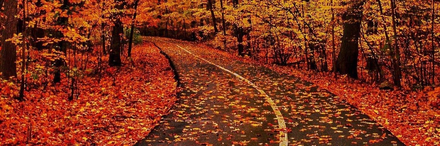 Adam 🏳️‍🌈 🐧💚 banner