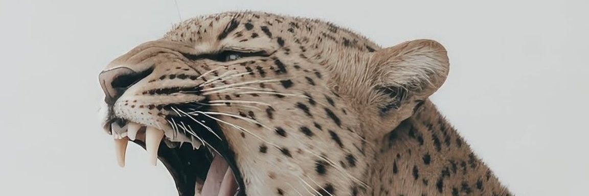 Dimakatso4253's profile banner image