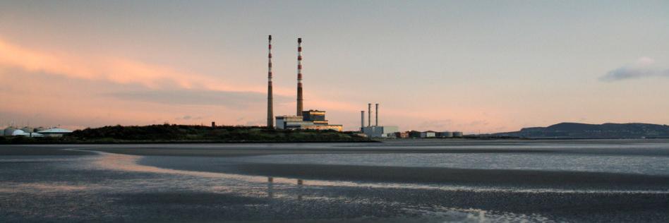 Dr Sara Burke banner