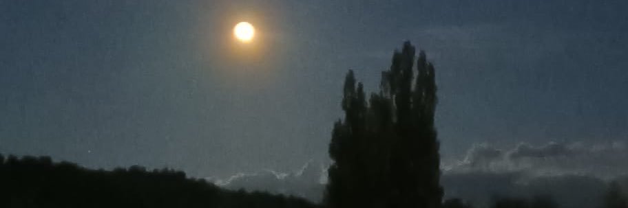 somosomos's profile banner image