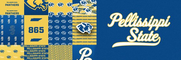 PSCCPanthers Profile Banner