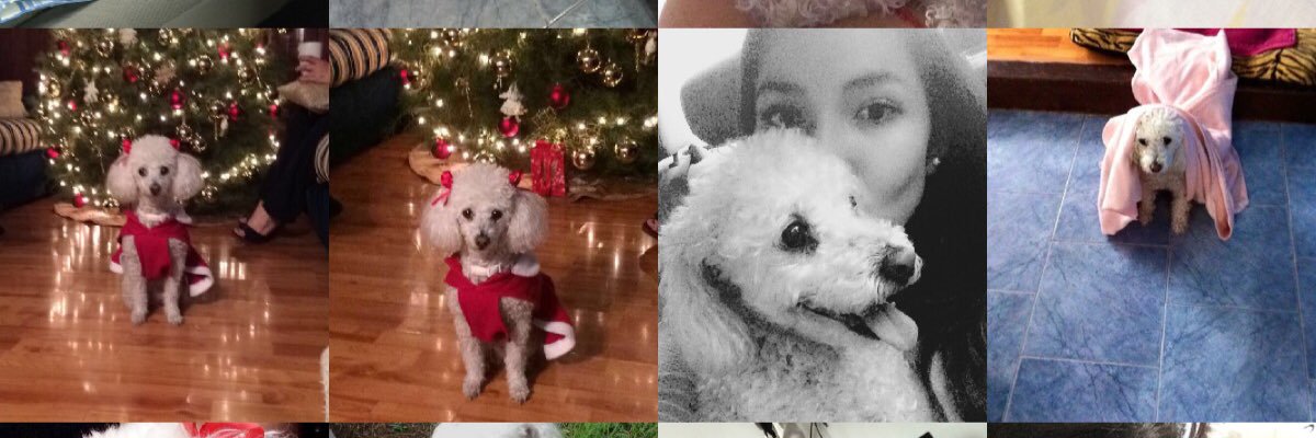 PammNava's profile banner image
