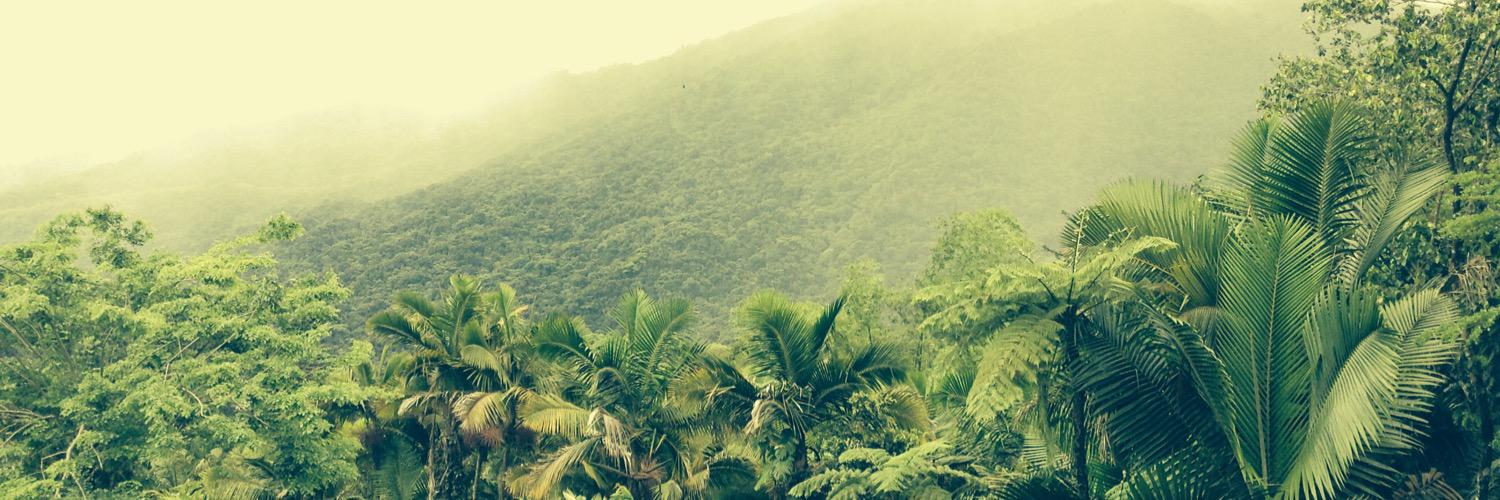 BellaaGomess's profile banner image