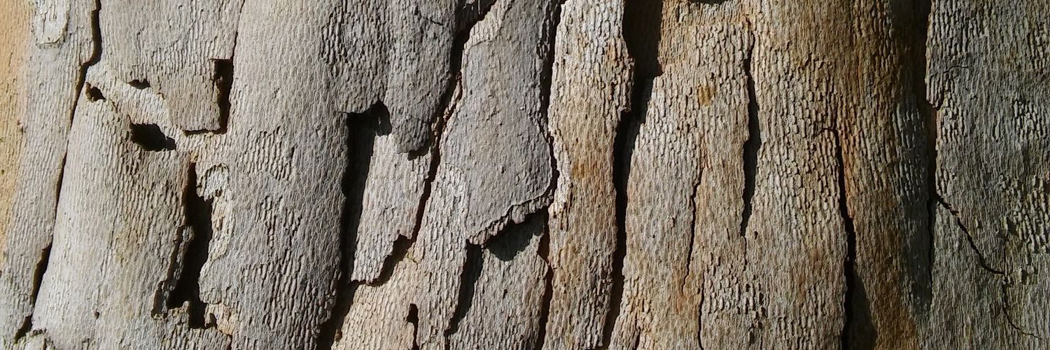 spinfz's profile banner image