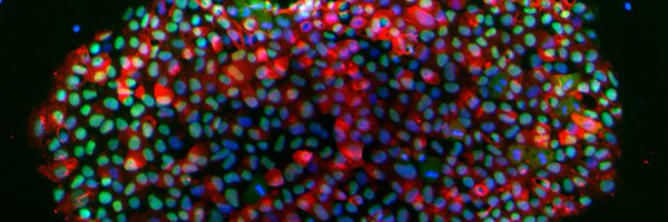 Coriell_Science Profile Banner