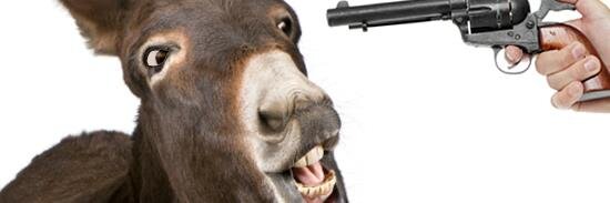 BurroNulo's profile banner image