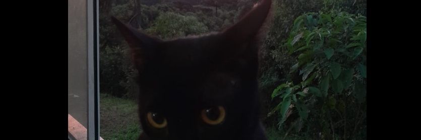 m_leitis's profile banner image