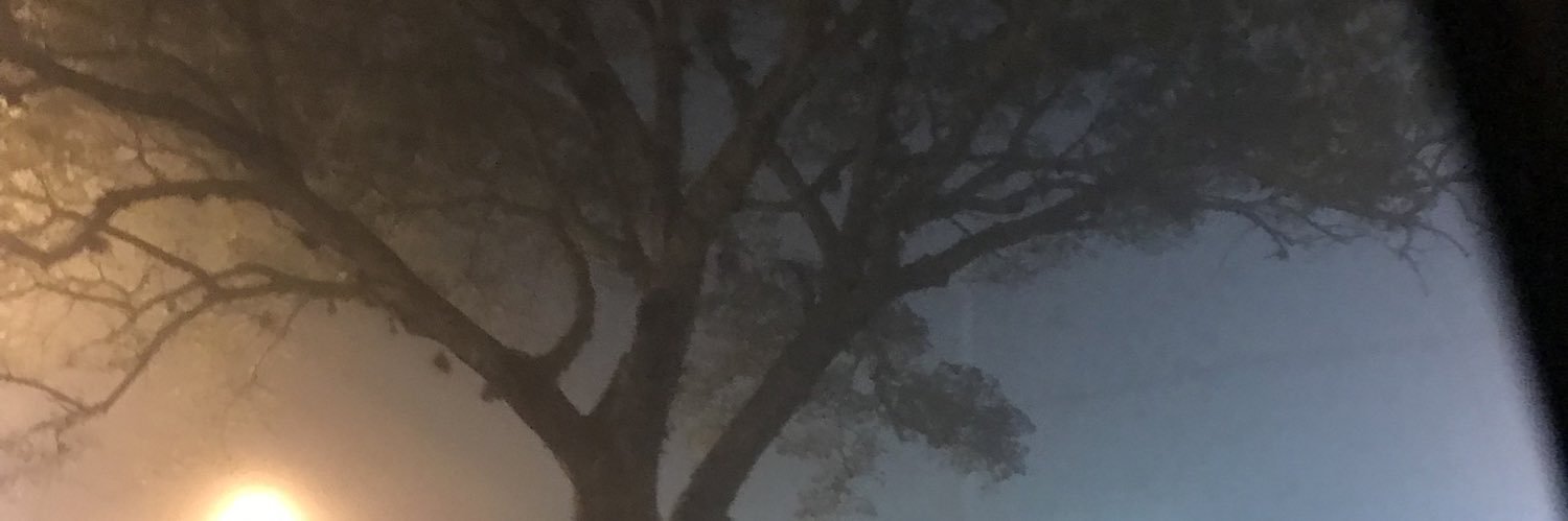 leopachecopp's profile banner image