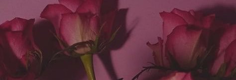 sinemmerginn's profile banner image