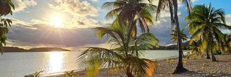 blakerey1's profile banner image