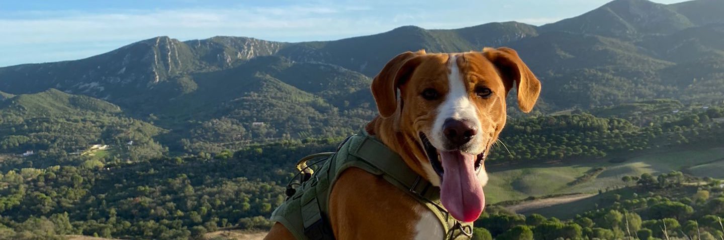 mateo_britss's profile banner image