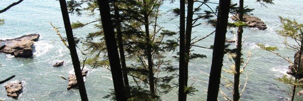 jedalong Profile Banner