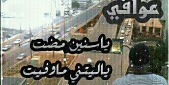 .... banner