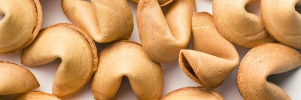 Fortune Cookie On-Chain NFTs banner