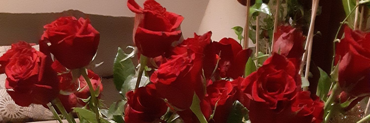 thoney29's profile banner image