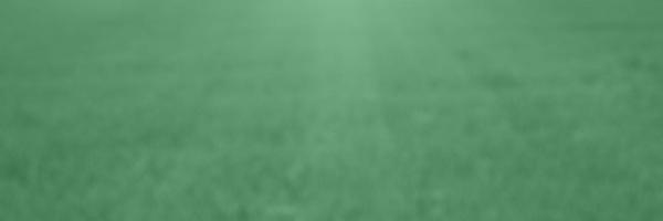 LawnStarter Profile Banner