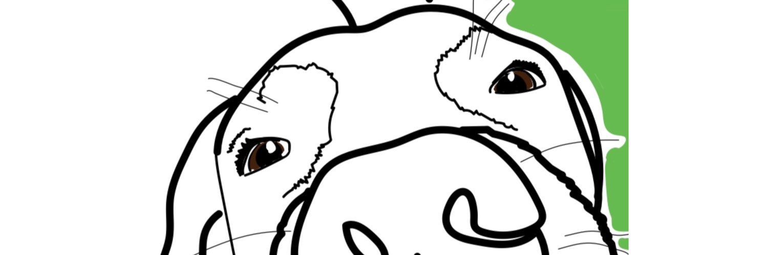Lara Be. banner