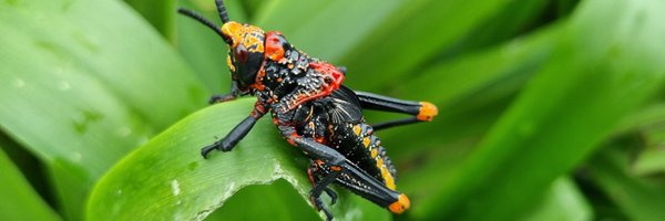 palesa08 Profile Banner