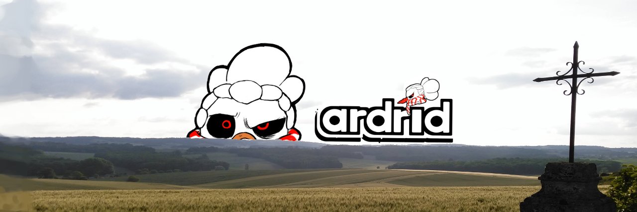 Ardrid banner